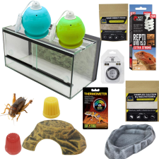  Szakállas agáma NEXT kezdőcsomag - juvenile hüllőfelszerelés