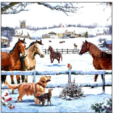  Szalvéta – Appointment papírárú, csomagoló és tárolóeszköz