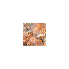 Szalvéta Orange autumn papírárú, csomagoló és tárolóeszköz
