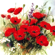  Szalvéta – Wild poppies papírárú, csomagoló és tárolóeszköz