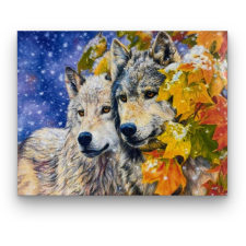 Számfestő Farkaspár - előszínezett számfestő készlet (40x50cm) kreatív és készségfejlesztő