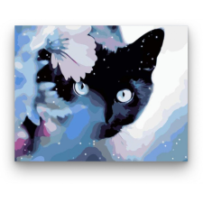 Számfestő Fekete cica - számfestő készlet kreatív és készségfejlesztő