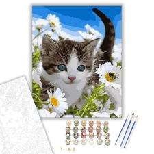 Számfestő.hu A Legaranyosabb Macska - számfestő készlet – 40×50 cm (Keretre feszítve) kreatív és készségfejlesztő