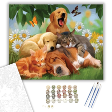 Számfestő.hu Alvó állatok - számfestő készlet – 40×50 cm (Keretre feszítve) kreatív és készségfejlesztő