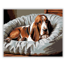 Számfestő.hu Alvó Basset Hound Kényelmes Ágyon - számfestő készlet kreatív és készségfejlesztő