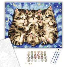Számfestő.hu Alvó kiscicák - számfestő készlet – 40×50 cm (Keretre feszítve) kreatív és készségfejlesztő