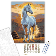 Számfestő.hu Arab Tisztaság - számfestő készlet – 40×50 cm (Keretre feszítve) kreatív és készségfejlesztő