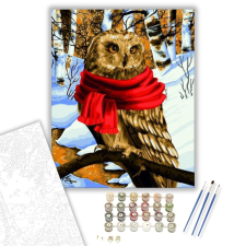Számfestő.hu Bagoly télen - számfestő készlet – 40×50 cm (Keretre feszítve) kreatív és készségfejlesztő