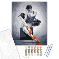 Számfestő.hu Balettcipő - számfestő készlet – 40×50 cm (Keretre feszítve) kreatív és készségfejlesztő