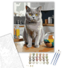 Számfestő.hu British Shorthair Macska a Konyhapulton - számfestő készlet – 40×50 cm (Keretre feszítve)