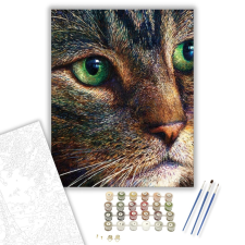 Számfestő.hu Brokkoli Cirmos - számfestő készlet – 40×50 cm (Keretre feszítve) kreatív és készségfejlesztő