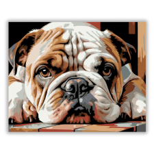Számfestő.hu Bulldog Kölyök Pihenő Közeli Portré - számfestő készlet kreatív és készségfejlesztő