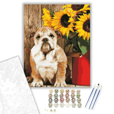 Számfestő.hu Bulldog - számfestő készlet – 80×100 cm (Keret nélkül) kreatív és készségfejlesztő