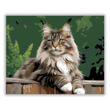 Számfestő.hu Büszke Maine Coon a Kerítésen - számfestő készlet kreatív és készségfejlesztő