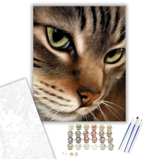 Számfestő.hu Cica figyelem - számfestő készlet – 40×50 cm (Keretre feszítve) kreatív és készségfejlesztő