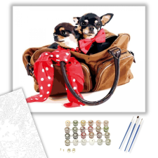 Számfestő.hu Csivavák táskában - számfestő készlet – 40×50 cm (Keretre feszítve) kreatív és készségfejlesztő