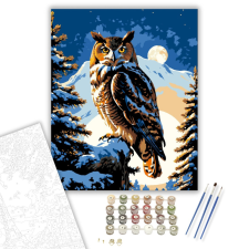 Számfestő.hu Éjjeli Bagoly Varázslat - számfestő készlet – 40×50 cm (Keretre feszítve) kreatív és készségfejlesztő