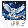 Számfestő.hu Éjkék Bagoly Röpte - számfestő készlet – 40×50 cm (Keretre feszítve)