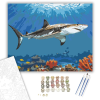 Számfestő.hu Fehér Cápa a Korallzátony Felett - számfestő készlet – 40×50 cm (Keretre feszítve)