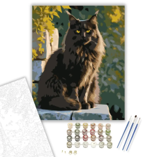 Számfestő.hu Fekete Maine Coon Kőfalon - számfestő készlet – 50×60 cm (Keret nélkül) kreatív és készségfejlesztő