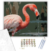 Számfestő.hu Flamingó Közeli Pillantás a Vízparton - számfestő készlet – 50×60 cm (Keret nélkül)
