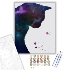 Számfestő.hu Galaxis macskája - számfestő készlet – 40×50 cm (Keretre feszítve) kreatív és készségfejlesztő
