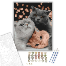 Számfestő.hu Hárman - számfestő készlet – 40×50 cm (Keretre feszítve) kreatív és készségfejlesztő