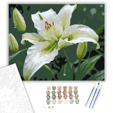 Számfestő.hu Harmatcseppes Fehér Liliom - számfestő készlet – 40×50 cm (Keretre feszítve) kreatív és készségfejlesztő