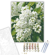 Számfestő.hu Harmatcseppes Fehér Orgona - számfestő készlet – 40×50 cm (Keretre feszítve) kreatív és készségfejlesztő