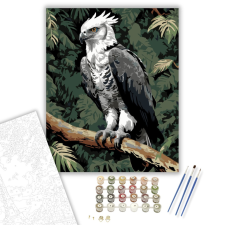 Számfestő.hu Harpia a Dzsungel Ágain - számfestő készlet – 40×50 cm (Keretre feszítve) kreatív és készségfejlesztő