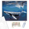 Számfestő.hu Humpback Bálna a Tiszta Víz Alatt - számfestő készlet – 40×50 cm (Keretre feszítve)
