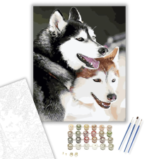 Számfestő.hu Huskyk - számfestő készlet – 40×50 cm (Keretre feszítve) kreatív és készségfejlesztő