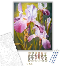Számfestő.hu Íriszek - számfestő készlet – 40×50 cm (Keretre feszítve) kreatív és készségfejlesztő