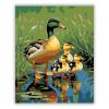 Számfestő.hu Kacsa Család a Tavon - számfestő készlet