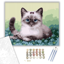 Számfestő.hu Kiscica a virágokban - számfestő készlet – 40×50 cm (Keretre feszítve) kreatív és készségfejlesztő