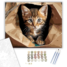 Számfestő.hu Kíváncsi Cirmos Kiscica Papírzacskóban - számfestő készlet – 40×50 cm (Keretre feszítve) kreatív és készségfejlesztő