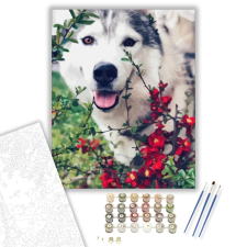 Számfestő.hu Kukucs - számfestő készlet – 40×50 cm (Keretre feszítve) kreatív és készségfejlesztő