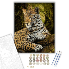 Számfestő.hu Leopárd tekintet - számfestő készlet – 40×50 cm (Keretre feszítve) kreatív és készségfejlesztő