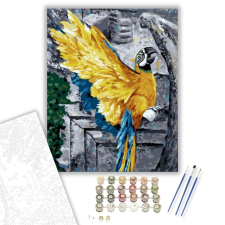 Számfestő.hu Mérges papagáj - számfestő készlet – 40×50 cm (Keretre feszítve) kreatív és készségfejlesztő