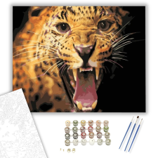 Számfestő.hu Mérges - számfestő készlet – 40×50 cm (Keretre feszítve) kreatív és készségfejlesztő