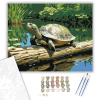 Számfestő.hu Mosolygó Teknős a Tóban - számfestő készlet – 40×50 cm (Keretre feszítve)