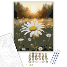 Számfestő.hu Napfényben Ringatózó Fehér Margaréta - számfestő készlet – 40×50 cm (Keretre feszítve) kreatív és készségfejlesztő