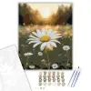 Számfestő.hu Napfényben Ringatózó Fehér Margaréta - számfestő készlet – 60×70 cm (Keretre feszítve)