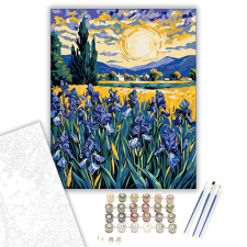 Számfestő.hu Napfényes Íriszmező - számfestő készlet – 40×50 cm (Keretre feszítve) kreatív és készségfejlesztő
