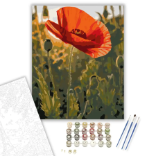 Számfestő.hu Naplementében Ragyogó Pipacs - számfestő készlet – 50×60 cm (Keret nélkül) kreatív és készségfejlesztő