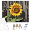 Számfestő.hu Napraforgó a Kerítés Mellett - számfestő készlet – 40×50 cm (Keretre feszítve)