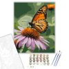 Számfestő.hu Narancs Fekete Pillangó Bíbor Őszirózsán - számfestő készlet – 40×50 cm (Keretre feszítve)
