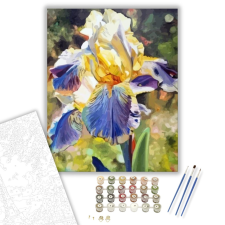 Számfestő.hu Nőszirom - számfestő készlet – 40×50 cm (Keretre feszítve) kreatív és készségfejlesztő