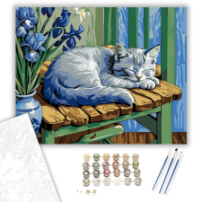 Számfestő.hu Nyugodt Macska és Íriszek - számfestő készlet – 40×50 cm (Keretre feszítve) kreatív és készségfejlesztő