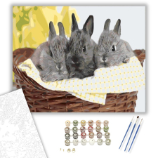 Számfestő.hu Nyuszik a kosárban - számfestő készlet – 40×50 cm (Keretre feszítve) kreatív és készségfejlesztő
